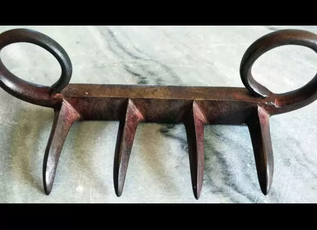 CM Eknath Shinde welcomes Wagh Nakhe's return from Britain to India, celebrating this historic moment.