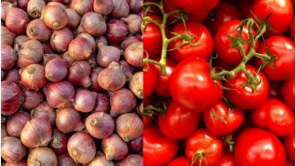 Farmers pelted Ajit Pawar's convoy with tomatoes & onions, waving black flags & demanding rollback of export duty.