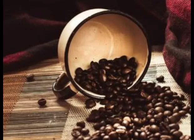 Small coffee brand owned by Black entrepreneurs scaled quickly in 18 months by being scrappy with resources.