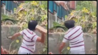 Father of Nithari victim throws stones at Pandher's residence in rage over HC verdict, video shows outburst.
