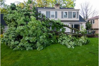 Protect your home from Babet: check roof, garden furniture, gutters, windows, doors, tree branches, power lines, etc.