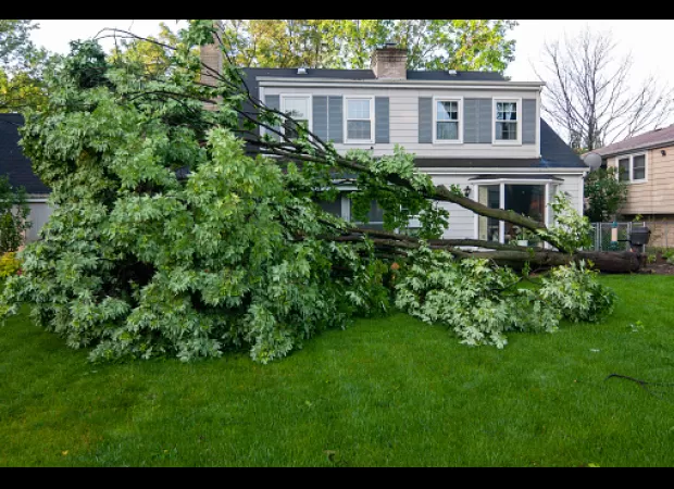 Protect your home from Babet: check roof, garden furniture, gutters, windows, doors, tree branches, power lines, etc.