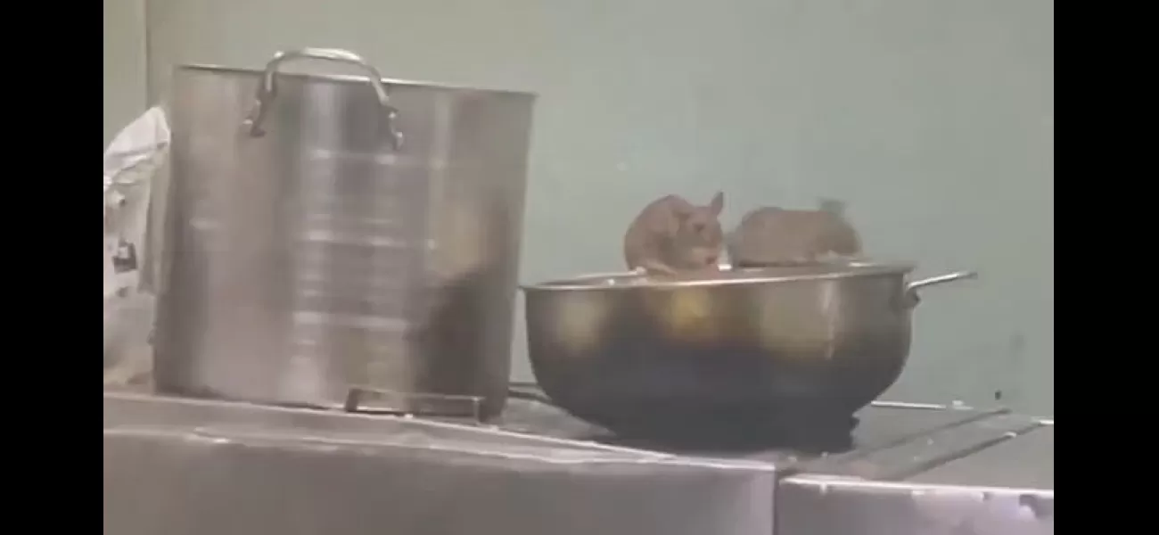 IRCTC fines pantry car contractor of LTT Madgaon Express ₹25,000 after a video of rat infestation goes viral.
