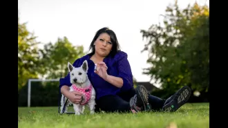 Woman requests council cover £6,000 vet bill after dog inhales grass seed.