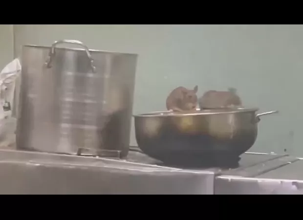 IRCTC fines pantry car contractor of LTT Madgaon Express ₹25,000 after a video of rat infestation goes viral.