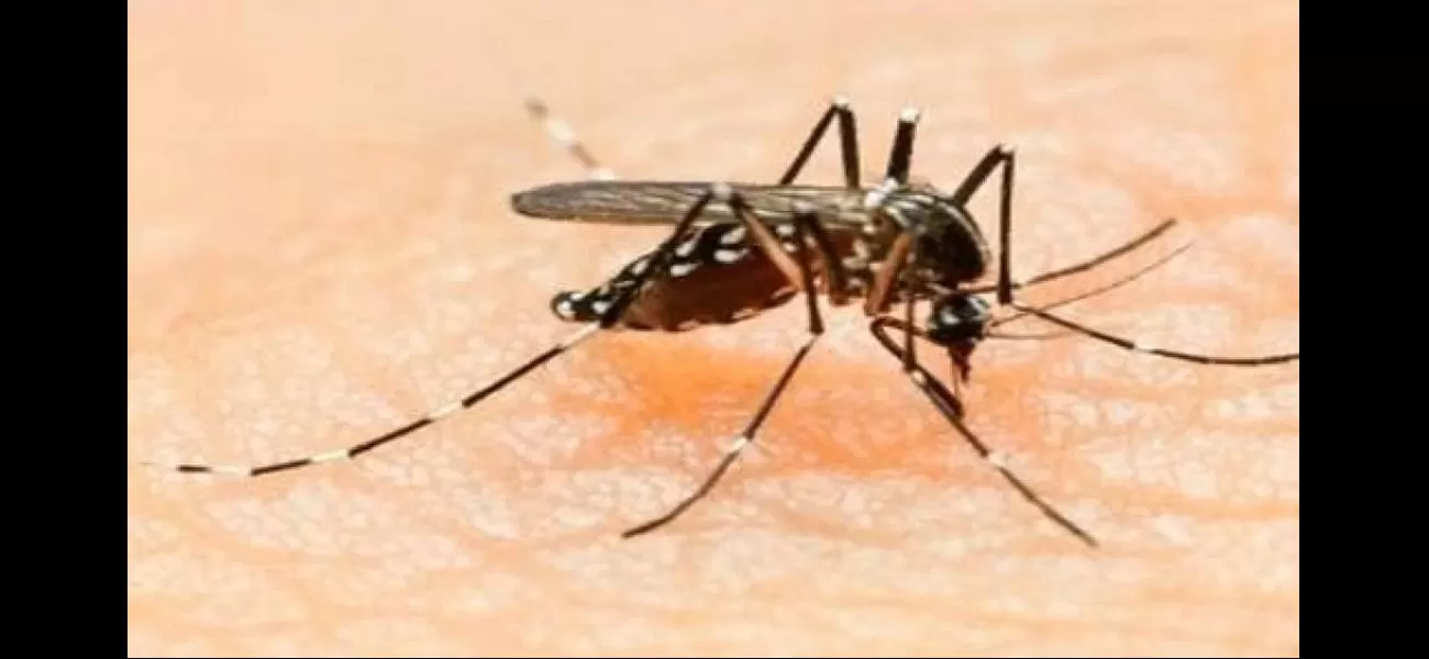Residents of Madhya Pradesh in panic after a dengue case is found.