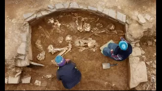 Remains of humans found in 5,000-year-old Neolithic burial chamber, an unusual discovery.