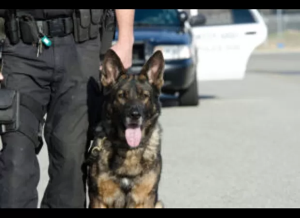 Police brutality against Black Ohioans brings up painful history.