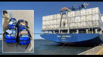 £10m of cocaine found on a ship transporting bananas.