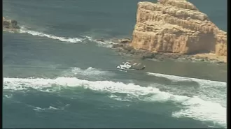 Surfer, 55, feared gone after being attacked by shark off South Australian coast.