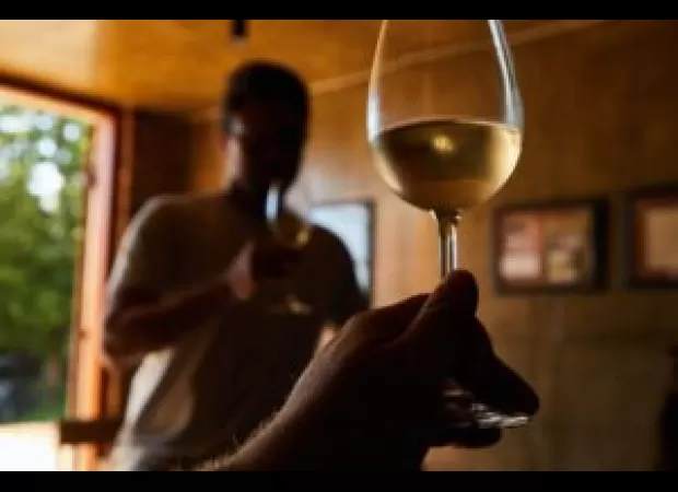 Friendship inspires new TV series, 