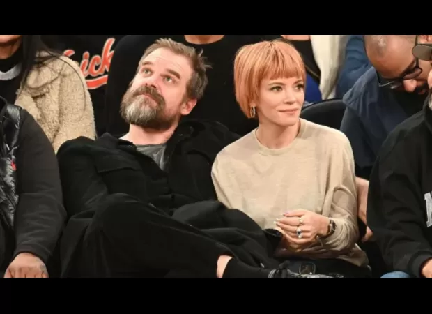 Lily Allen and David Harbour put divorce rumours to rest with a happy public outing.