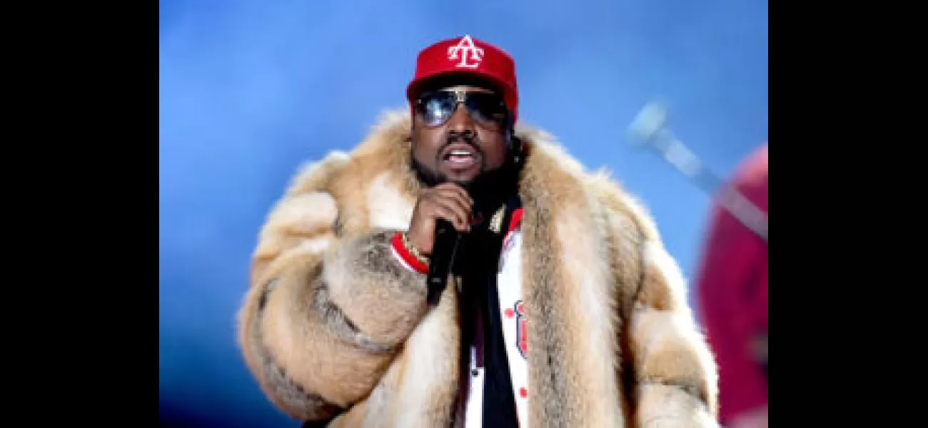 Pet owl steals the show, causing a stir when it takes flight on stage with Big Boi.