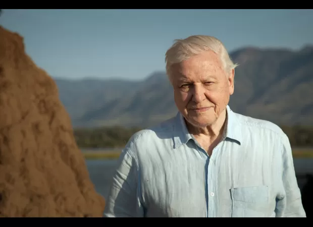 Jeremy Clarkson harshly criticizes Sir David Attenborough and we disagree.