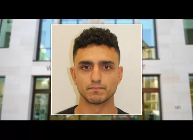 Tourist jailed 7 weeks for climbing into Royal Mews and fined.