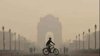 Delhi air polluted, air quality in 'severe' zone; check AQI for updates.