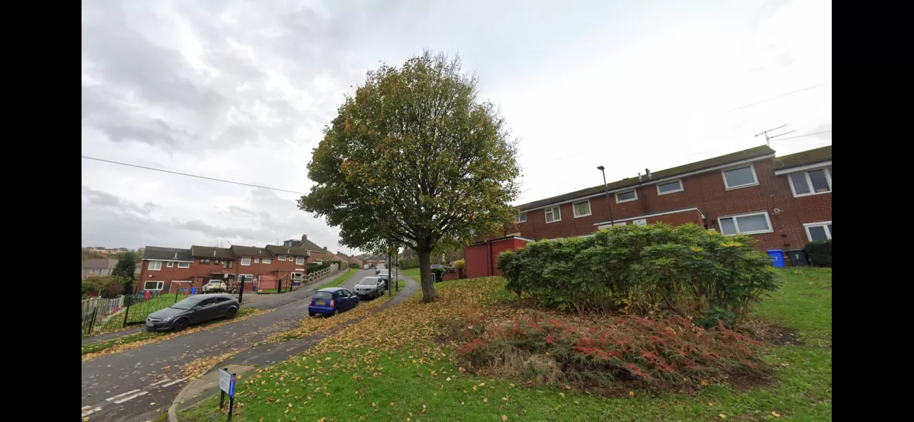 Couple say tree needs to be managed as it's causing disruption near their home.