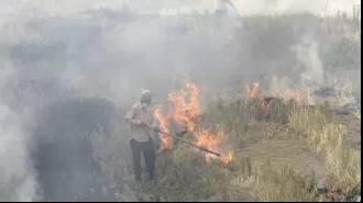 Punjab cracks down on farm fires as they continue to burn without control.