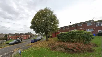 Couple say tree needs to be managed as it's causing disruption near their home.