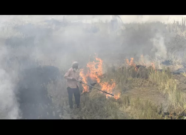 Punjab cracks down on farm fires as they continue to burn without control.