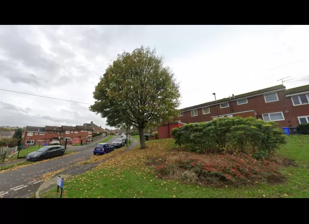 Couple say tree needs to be managed as it's causing disruption near their home.