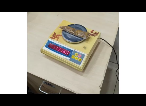 Customs officials in Indore seize 111.50Gm smuggled gold at the airport.