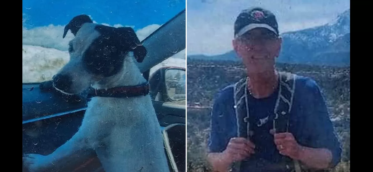 The body of a hiker missing for two months was found, with his dog still alive by his side.