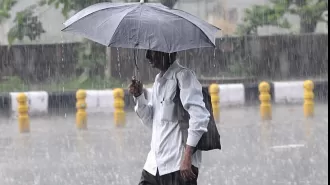 Tamil Nadu declares a holiday for schools in 7 districts due to heavy rainfall.