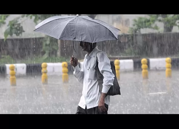 Tamil Nadu declares a holiday for schools in 7 districts due to heavy rainfall.