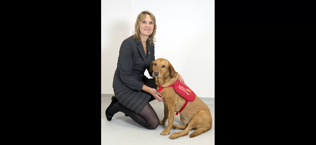 Labrador sniffed out cancer, saving its owner's life & inspiring charity that's saved countless more.