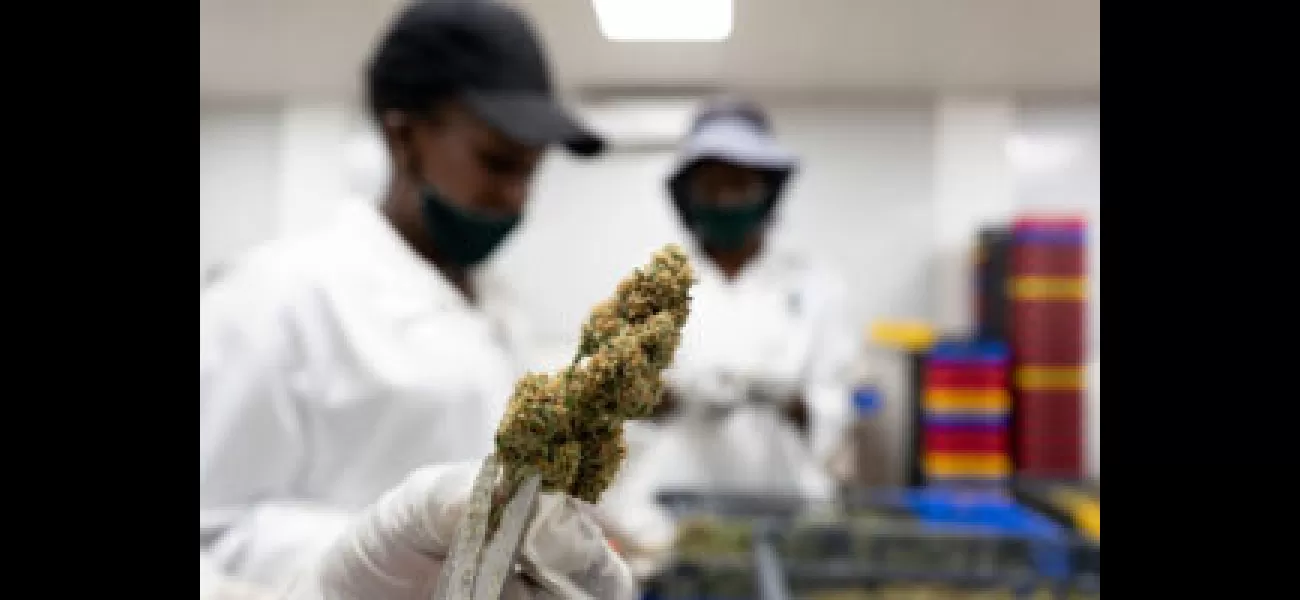 Detroit awards 37 cannabis business licenses, 13 of which go to Black-owned businesses.