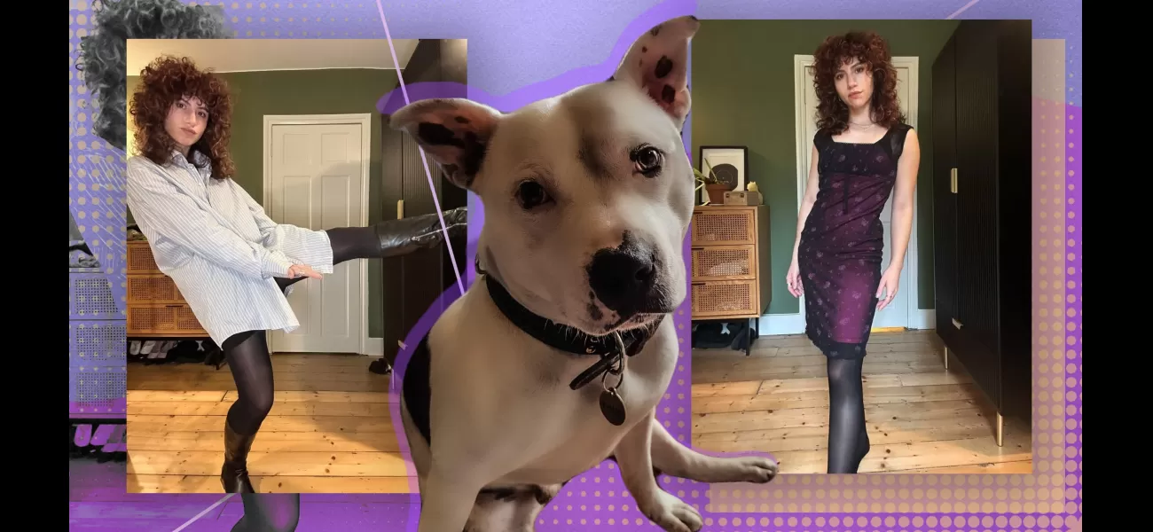 I tested tights ranging from cheap to expensive to see which could withstand my dog's wear and tear.