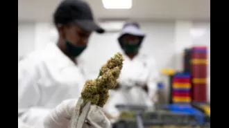 Detroit awards 37 cannabis business licenses, 13 of which go to Black-owned businesses.
