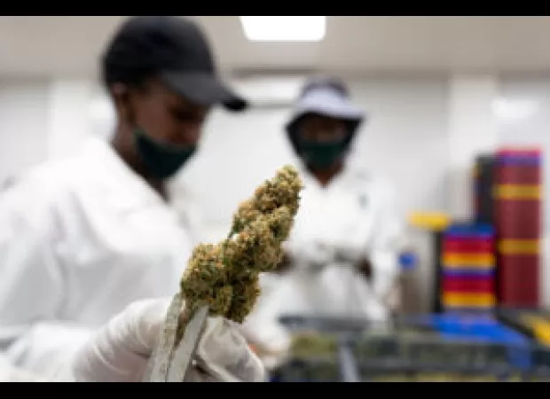 Detroit awards 37 cannabis business licenses, 13 of which go to Black-owned businesses.