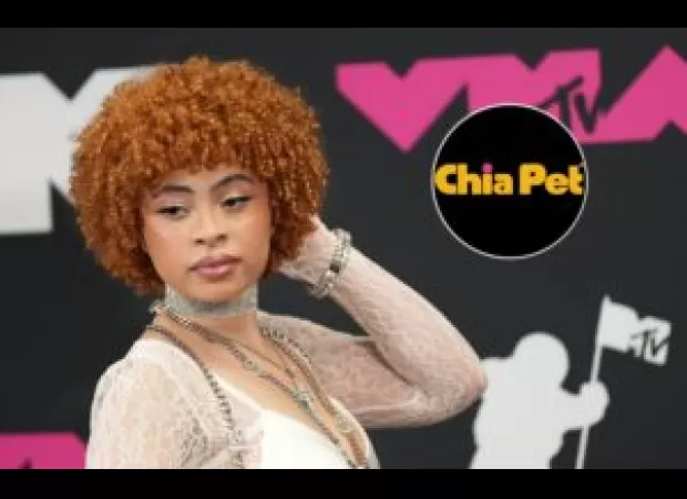 Ice Spice has been transformed into a Chia Pet, allowing for fun and creative displays.

Ice Spice has been made into a Chia Pet so you can create fun and creative decorations.