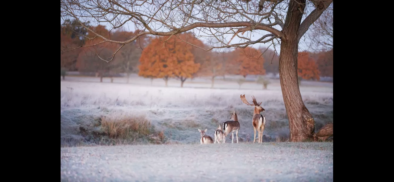 The temperature drops drastically to -7°C as the cold winter weather intensifies.