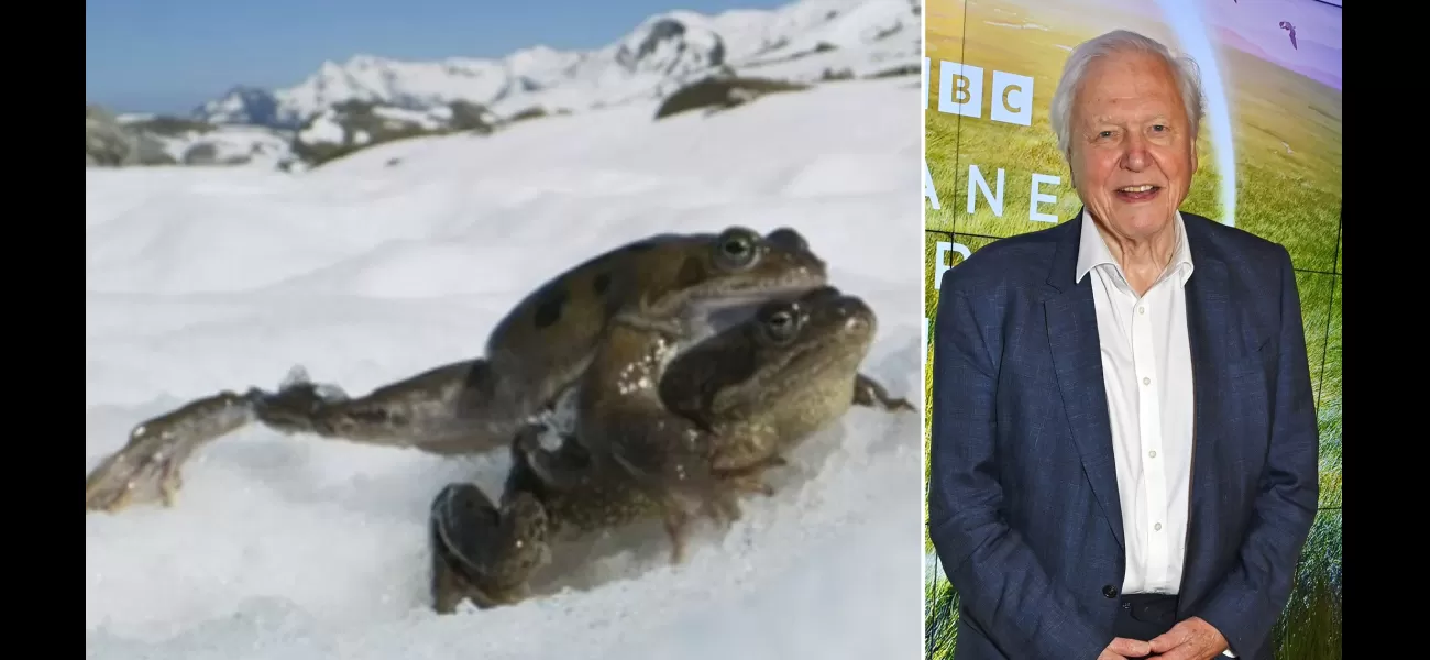 Viewers shocked at explicit frog scene in Planet Earth III.