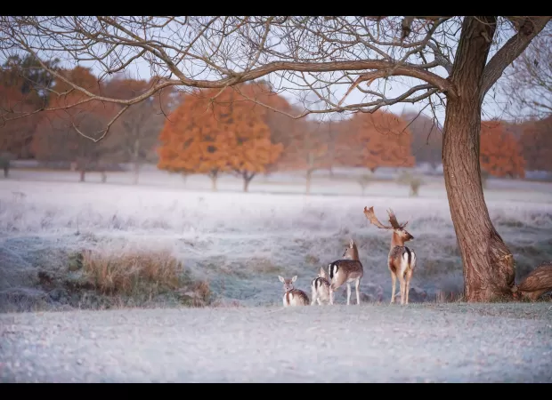 The temperature drops drastically to -7°C as the cold winter weather intensifies.