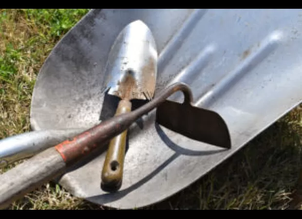 City orders elderly St. Paul resident to remove decades of hard work on her yard decorations.