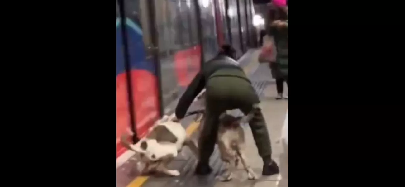 Two dogs attacked people on a London train platform after their owner lost control of them.