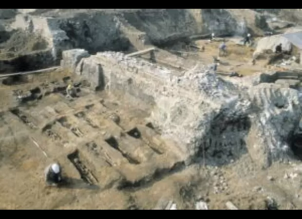 Black women were more likely to die from the Black Death due to their social position.