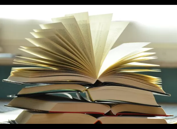 Black woman creates business to increase diversity in book publishing industry by providing packaging services.