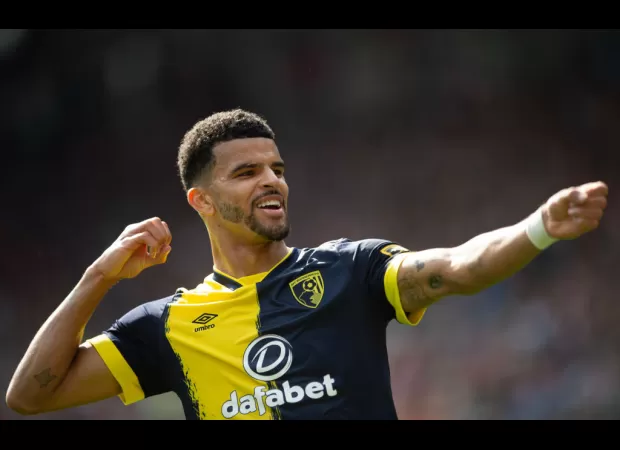 Owen Hargreaves supports Dominic Solanke's potential move to Manchester United.