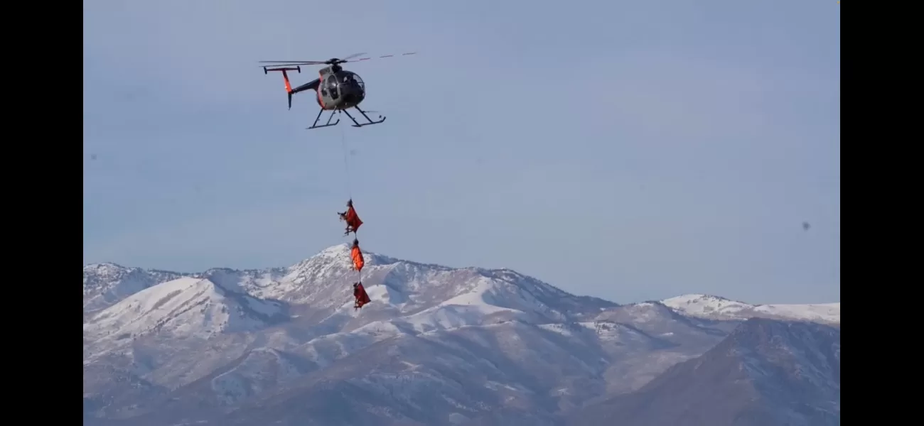 Reindeer-like deer seen gliding through US airspace.