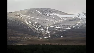 Scotland has experienced a white Christmas after a dusting of snow.