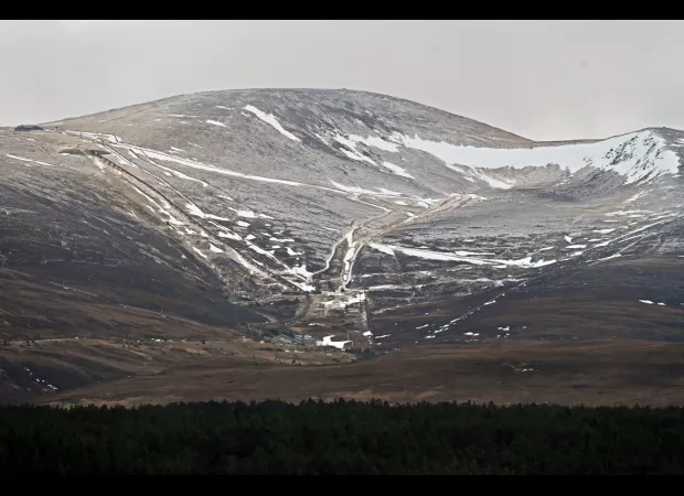 Scotland has experienced a white Christmas after a dusting of snow.
