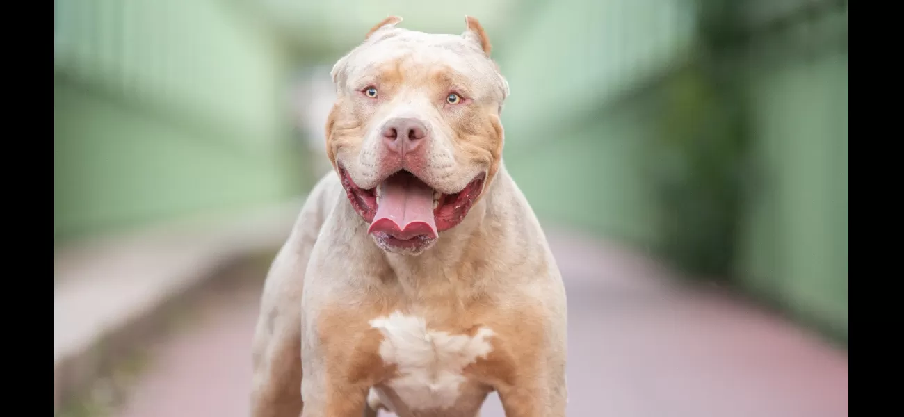 Dog ripped off man's testicles before attacking woman.