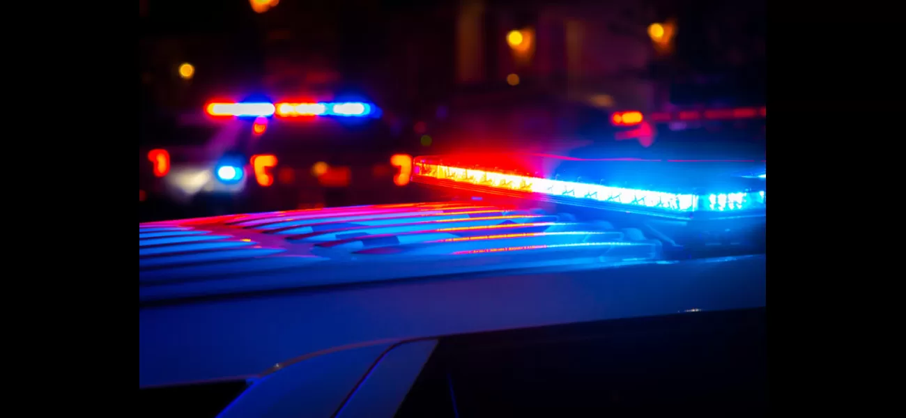 Woman in NYC fatally shot in an ambush caught on surveillance video.