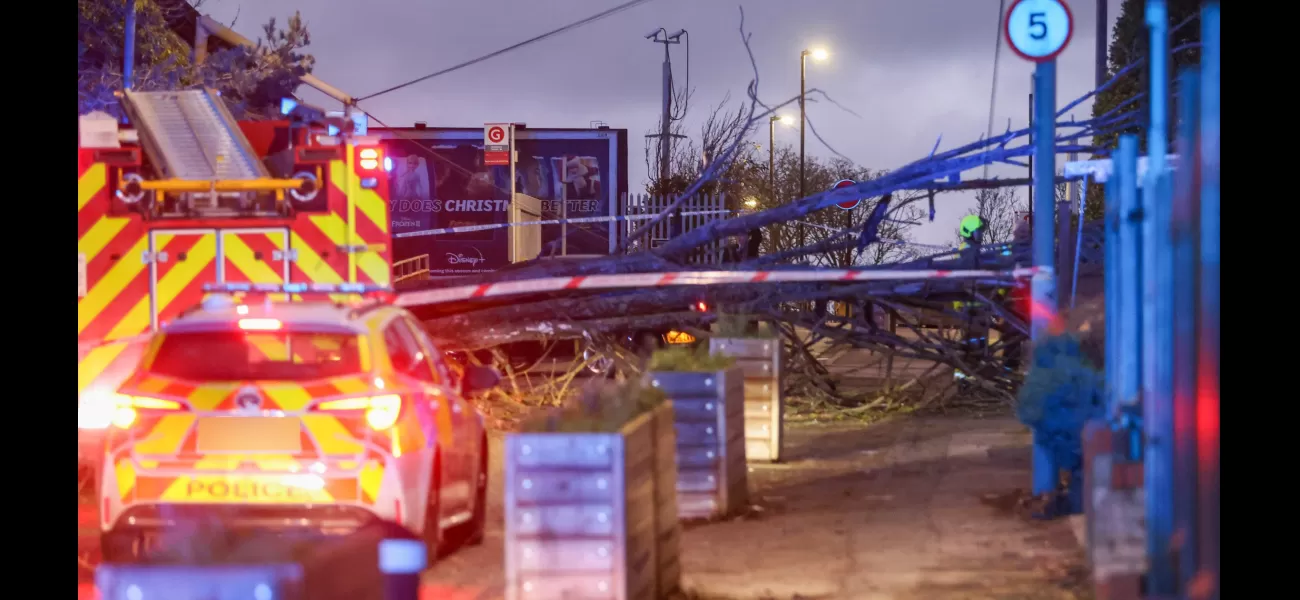 Woman injured when tree fell in high winds of Storm Henk (94mph).
