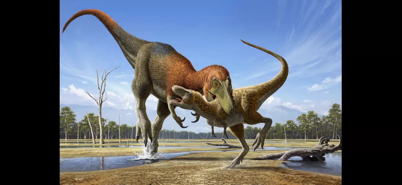 Mystery of the toddler T rex solved after costly research.